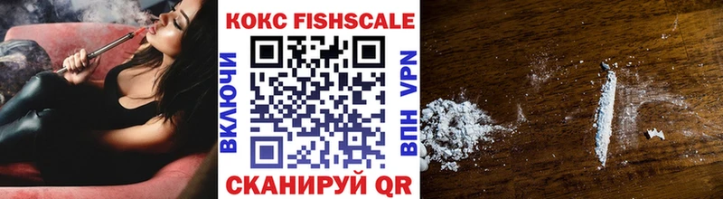 COCAIN Fish Scale  дарк нет наркотические препараты  Дмитриев 
