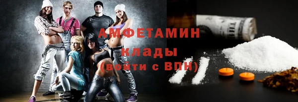 хмурый Гусь-Хрустальный