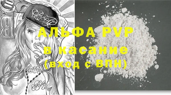 хмурый Гусь-Хрустальный