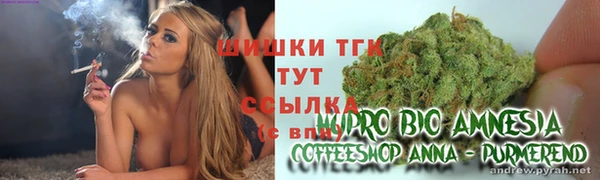 хмурый Гусь-Хрустальный