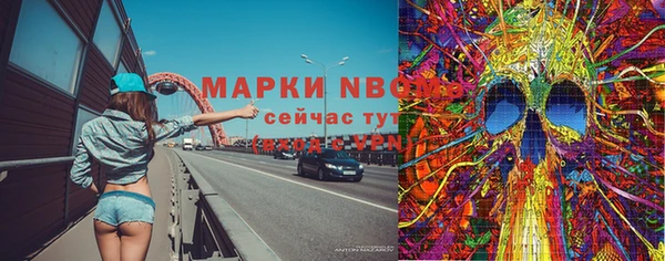 хмурый Гусь-Хрустальный