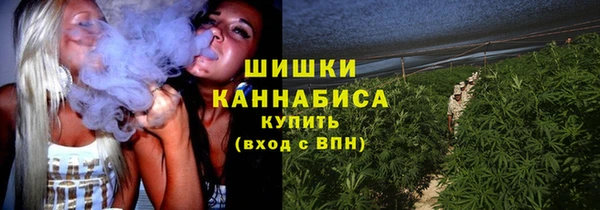 дживик Гусиноозёрск