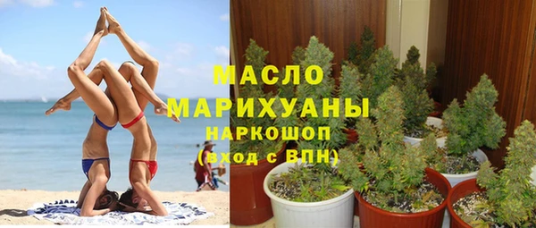 хмурый Гусь-Хрустальный