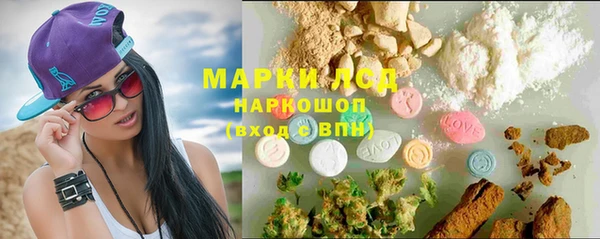 хмурый Гусь-Хрустальный