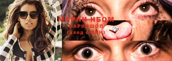 хмурый Гусь-Хрустальный