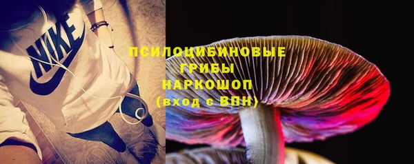 дживик Гусиноозёрск